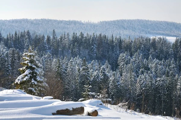 Paysage montagneux avec arbres enneigés et rondins — Photo