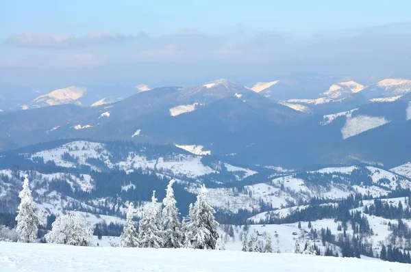 Горный пейзаж с снежными деревьями — стоковое фото