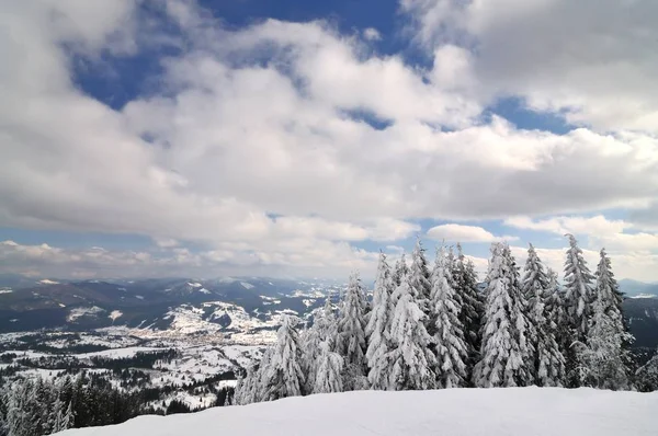 Paisagem montanhosa com floresta nevada — Fotografia de Stock