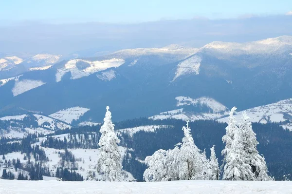 Paisagem de montanha com árvores nevadas — Fotografia de Stock