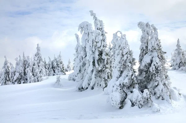 Belle pente hivernale pittoresque avec funiculaires — Photo