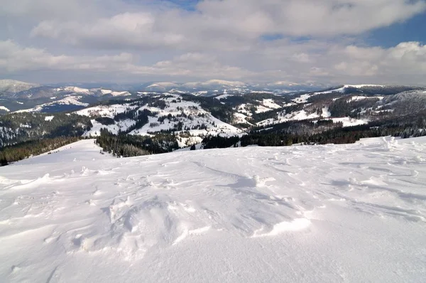 Hügel, Fichten und Kiefern mit Schnee bedeckt — Stockfoto