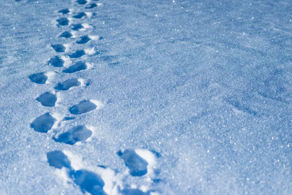 Fotspår av en oidentifierad man i snön — Stockfoto