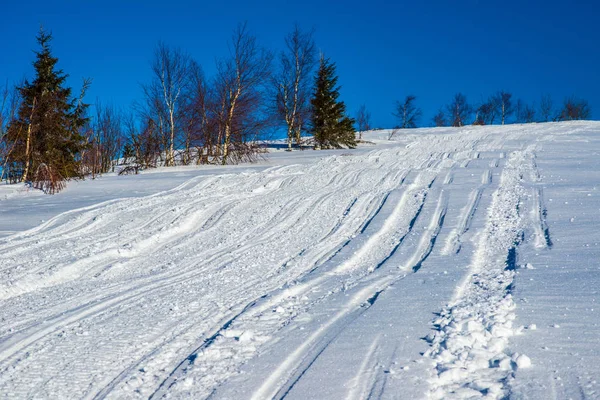 ATV and ski tracks in snow on frosty winter day — Stock Photo, Image
