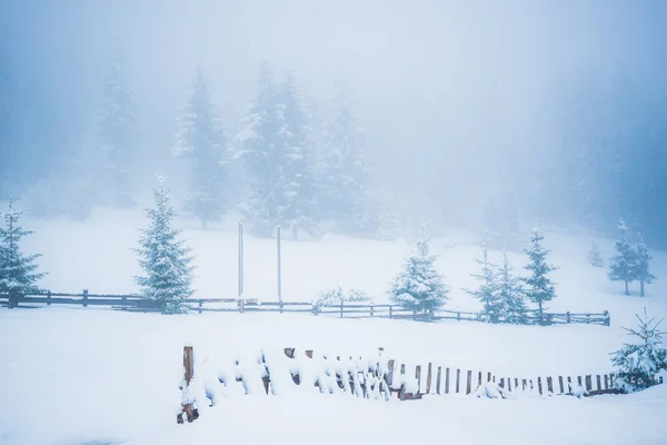 Μαγευτικό γραφικό τοπίο του χειμώνα — Φωτογραφία Αρχείου