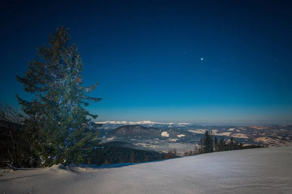 Волшебный пейзаж снежной высокой ели — стоковое фото
