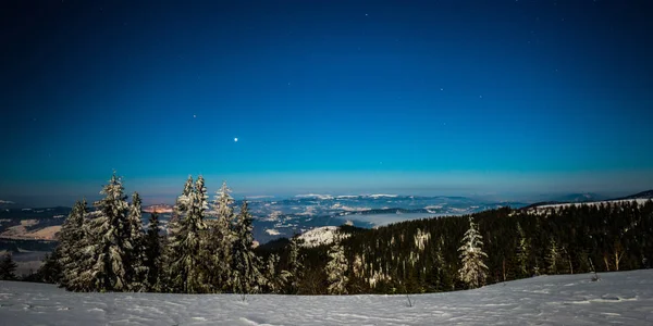 Zauberhafte magische Landschaft aus schneebedeckten hohen Tannen — Stockfoto