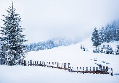 Büyüleyici kış manzarası.