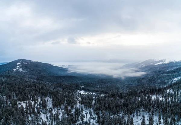 Bir kışın mistik manzarasının havadan görünüşü — Stok fotoğraf