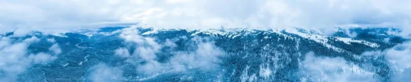 Heerlijk besneeuwd panorama van sparren bomen — Stockfoto