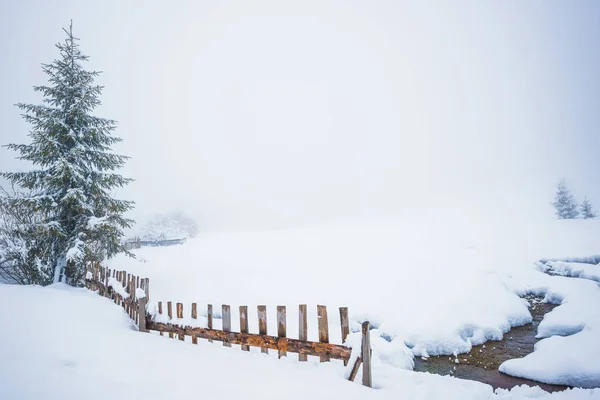 Bruja invierno paisaje pintoresco — Foto de Stock