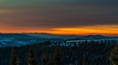 Kozalaklı ormanın güzel akşam manzarası