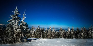 Karlı köknarın gizemli gece manzarası