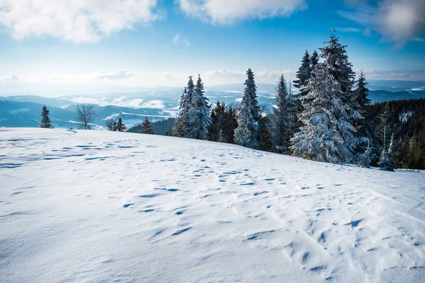 从雪地的斜坡上眺望美丽的景色 — 图库照片