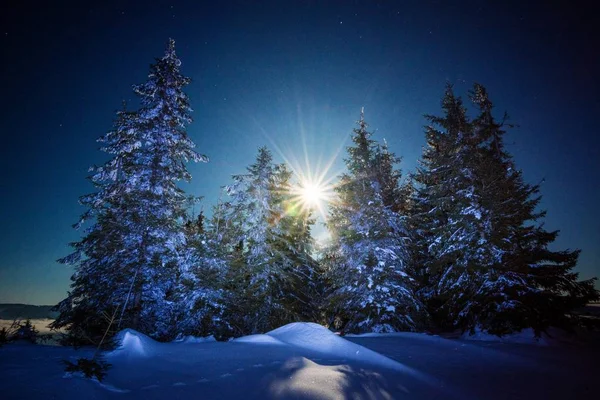 Mesmerizing landscape of snowy ski slope — Stock Photo, Image