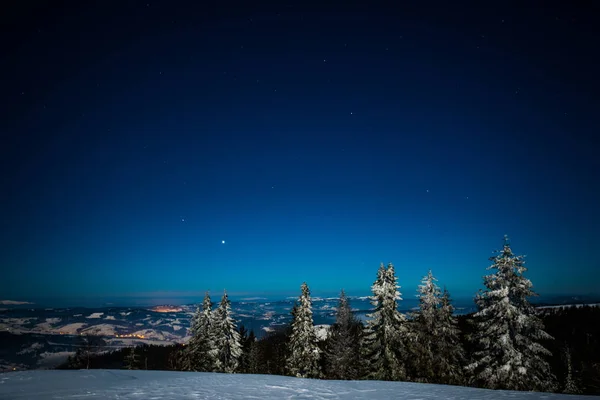 Malerische Landschaft aus hohen, schlanken Tannen — Stockfoto