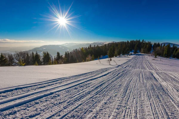 서리가 내리는 겨울날 눈 속 의 ATV 와 스키 트랙 — 스톡 사진
