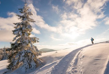 Sırt çantalı bir erkek gezgin en tepede duruyor.