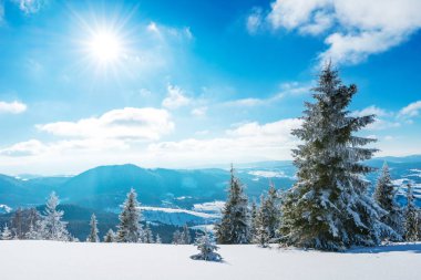 Kar yığınlarının güneşli kış manzarası