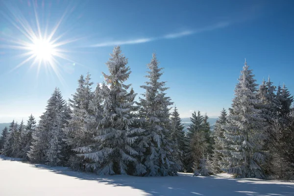 Зимовий пейзаж зі сніговим схилом — стокове фото