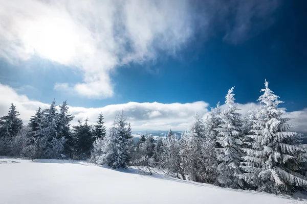 Paisagem de inverno hipnotizante com uma encosta nevada — Fotografia de Stock