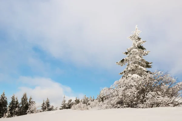 Slunečná zimní krajina sněhových závějí — Stock fotografie