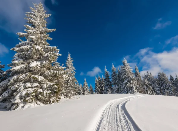 Oszałamiający i malowniczy zimowy krajobraz — Zdjęcie stockowe