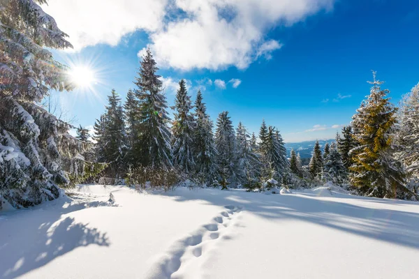 Stunning and picturesque winter landscape — Stock Photo, Image