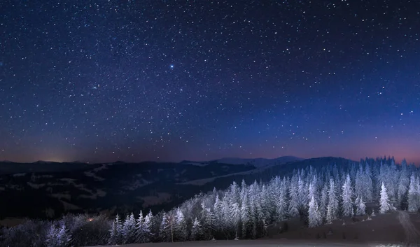 Mesmerizing natt landskap snöig gran träd — Stockfoto