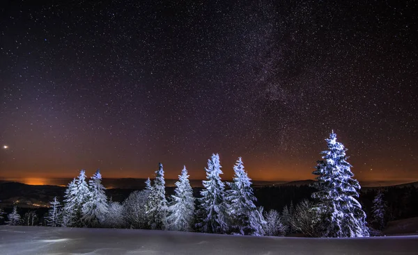 Hipnotyzujący nocny krajobraz śnieżne jodły — Zdjęcie stockowe