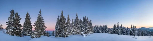 Живописный пейзаж снежного леса — стоковое фото