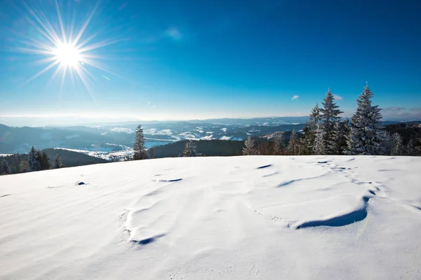 Fascinante paisaje soleado de un bosque de invierno — Foto de Stock