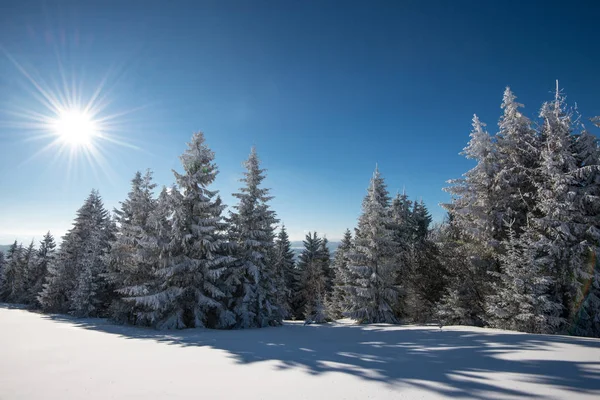 Hipnotyzujący zimowy krajobraz ze śnieżnym zboczem — Zdjęcie stockowe