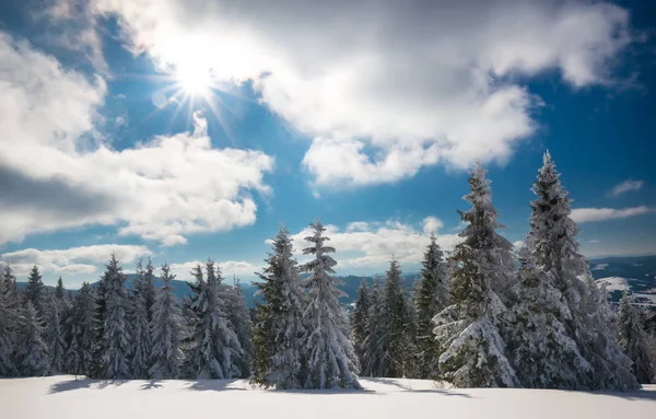 Slunečná zimní krajina sněhových závějí — Stock fotografie