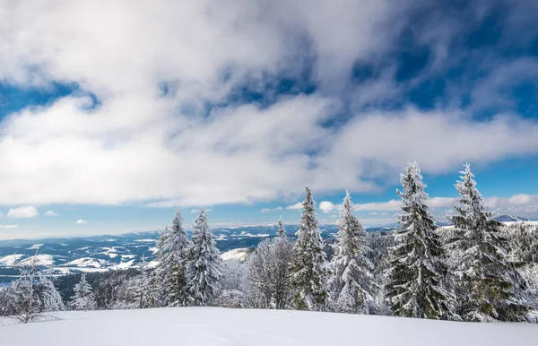 Soleado paisaje invernal de ventisqueros — Foto de Stock