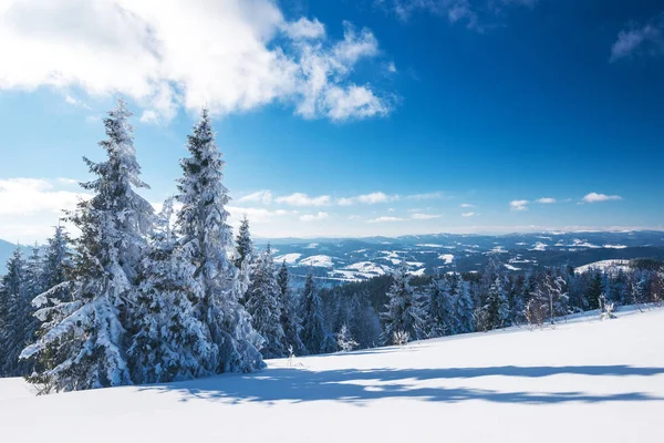 맑은 겨울날의 눈이 내리는 풍경 — 스톡 사진