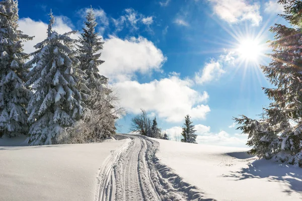 Приголомшливий і мальовничий зимовий пейзаж — стокове фото