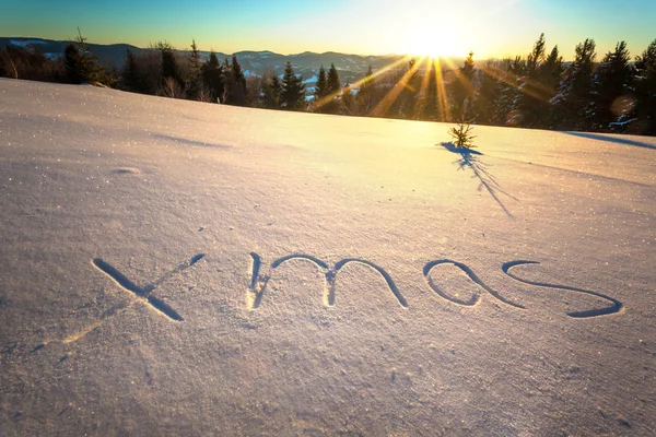 The inscription Christmas on snownear forest — Stockfoto