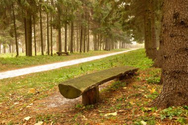 Devasa banklı sonbahar doğa manzarası