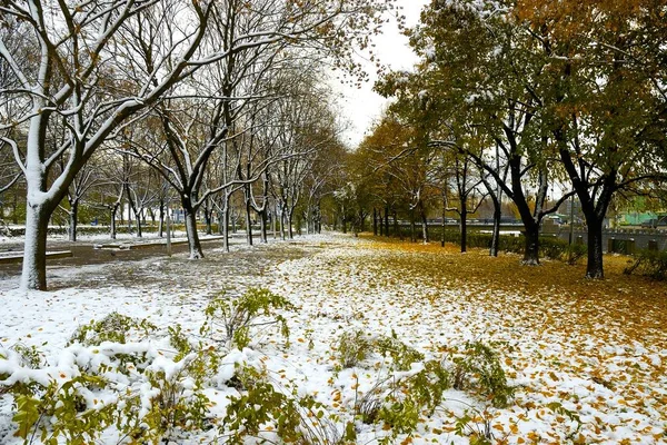 Prima neve precoce in città, inverno vs autunno — Foto Stock