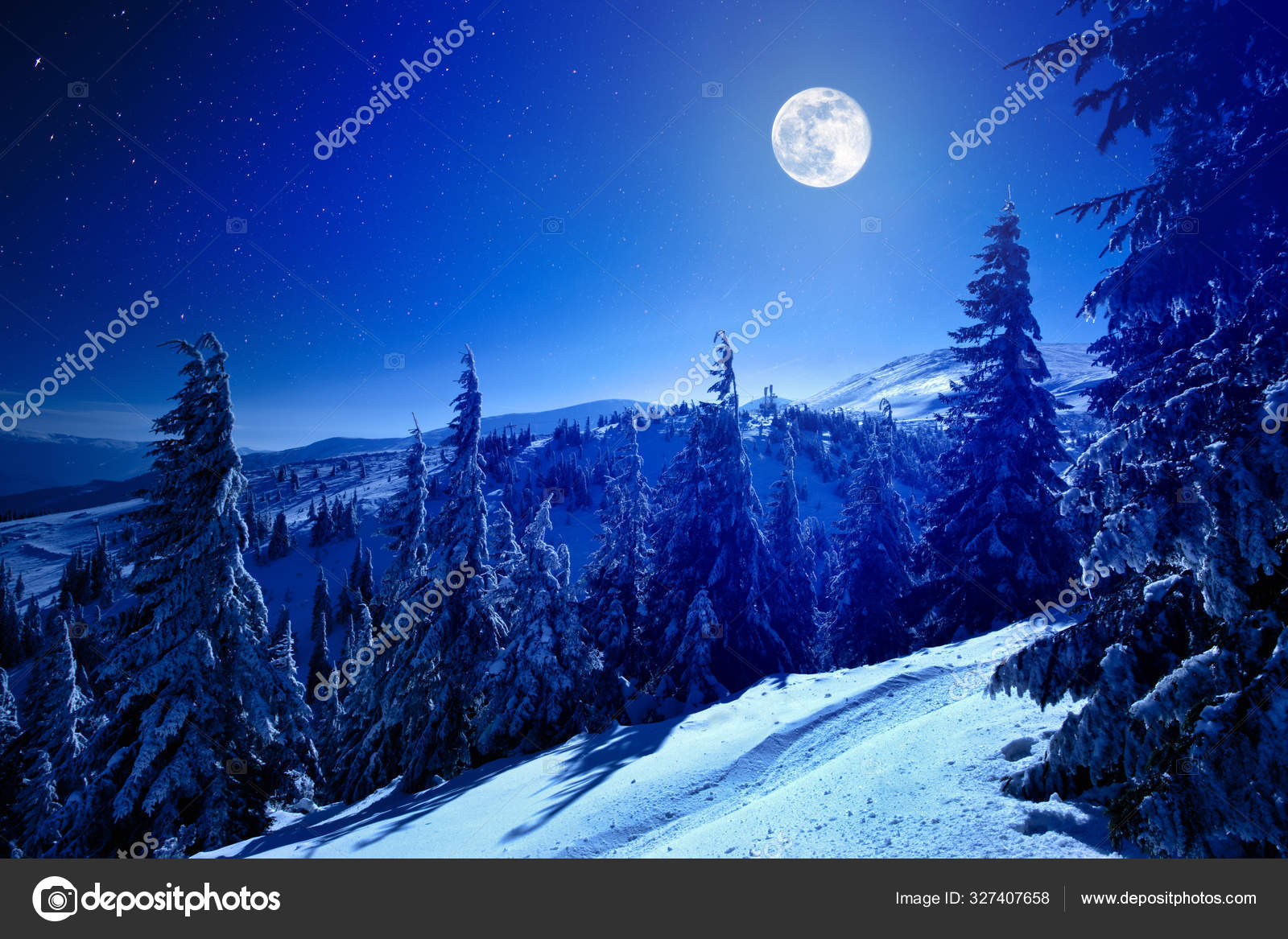 冬の深い森の冬の夜に雪で覆われた満月 ストック写真 C Yourapechkin Gmail Com 冬の深い森の冬の夜に雪で覆われた満月 ストック写真 C Yourapechkin Gmail Com