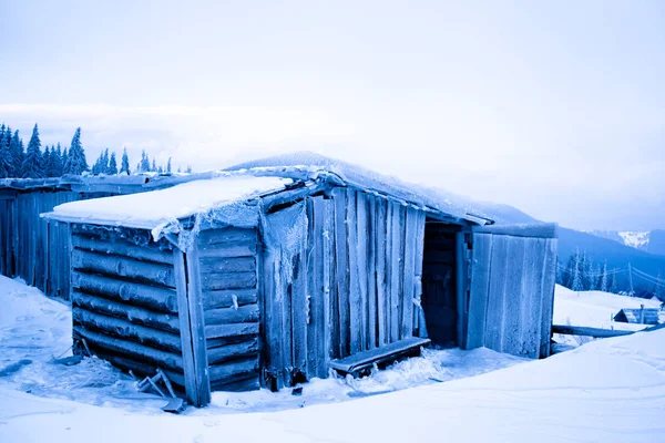 Verlaten huis bedekt met vorst over winterbos en sneeuw — Stockfoto