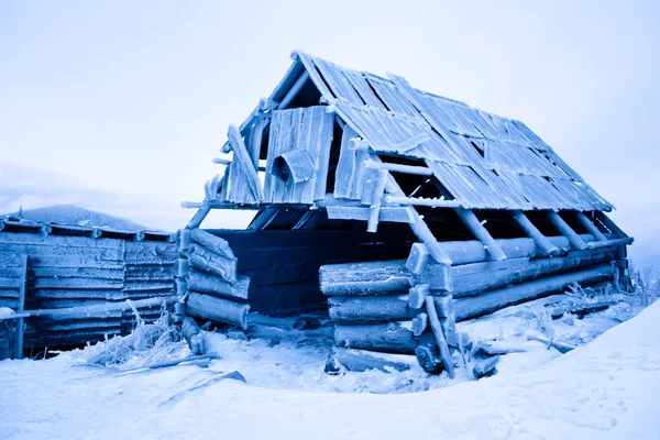 Maison abandonnée couverte de givre sur la forêt hivernale et la neige — Photo