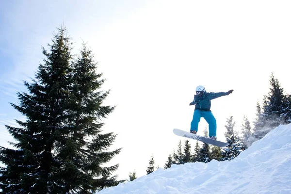 Jovem em sportswear snowboard sobre pinheiros fundo — Fotografia de Stock