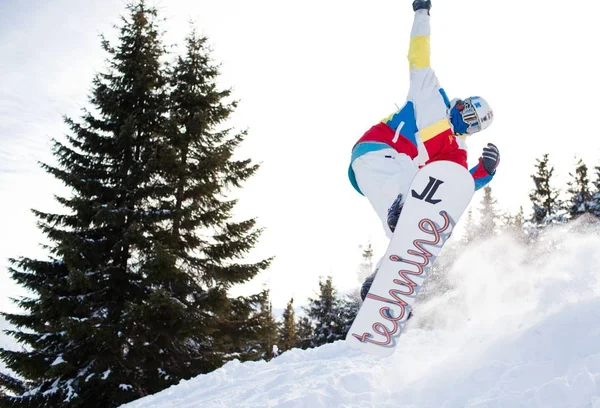 Giovane uomo in abbigliamento sportivo snowboard su sfondo pini — Foto Stock