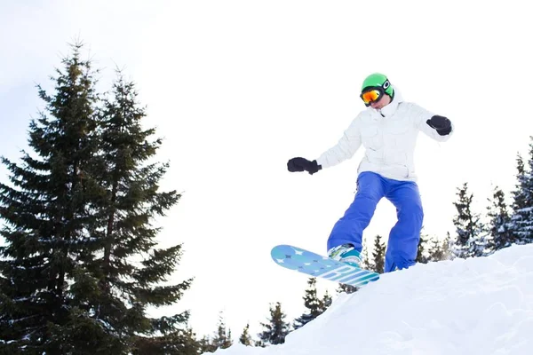 Jovem em sportswear snowboard sobre pinheiros fundo — Fotografia de Stock