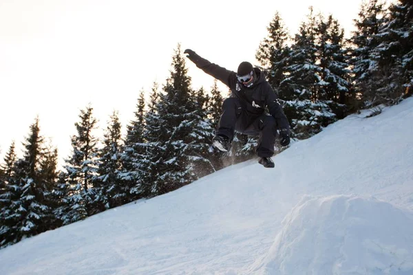 Jovem em sportswear snowboard sobre pinheiros fundo — Fotografia de Stock