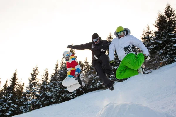 Jovem em sportswear snowboard sobre pinheiros fundo — Fotografia de Stock