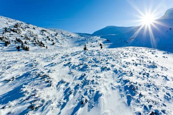 Kış vadisi ve dağların manzarası güneşli bir günde