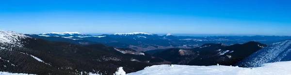 Bela encosta coberta de neve com abetos — Fotografia de Stock